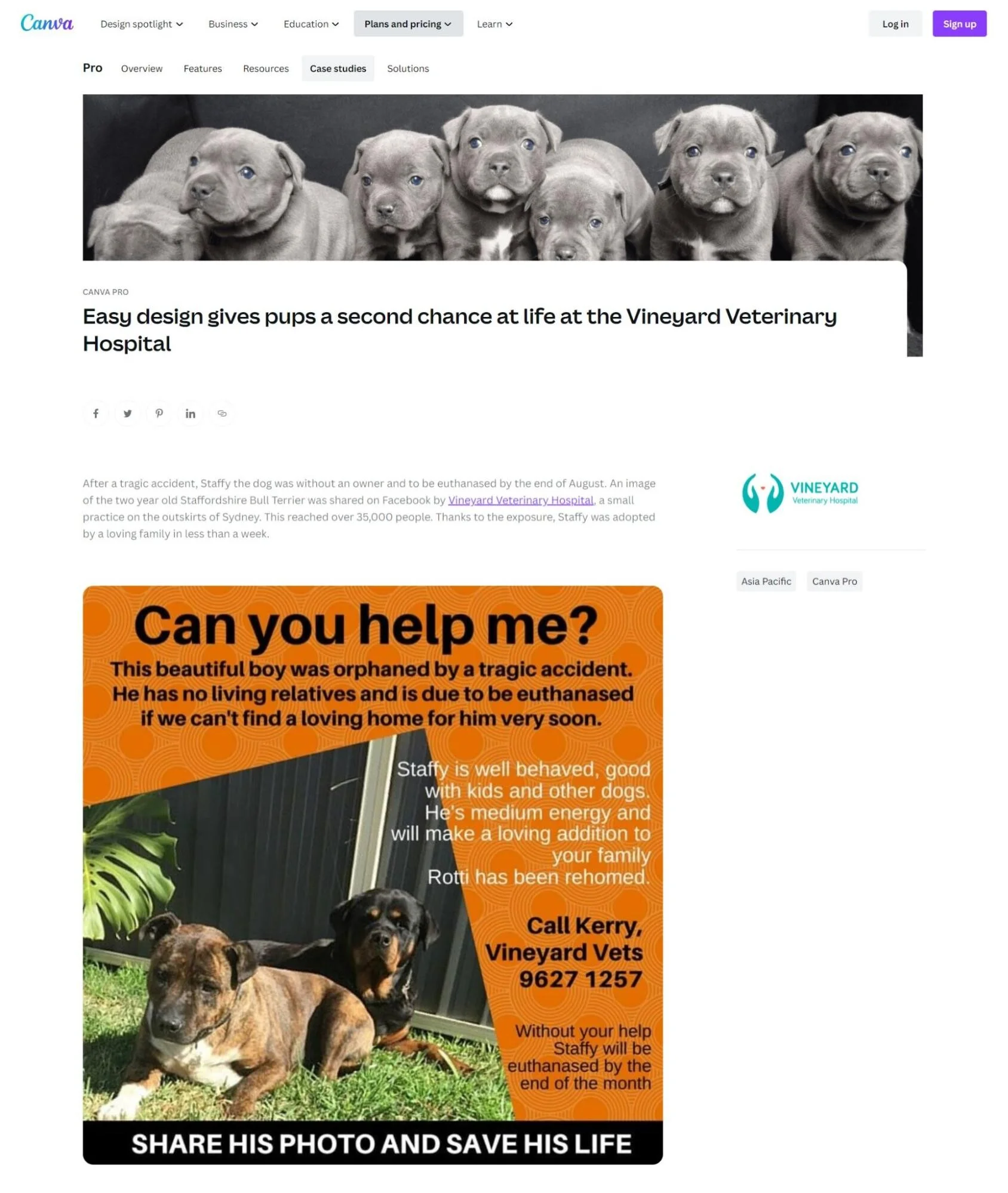 Canva_blog