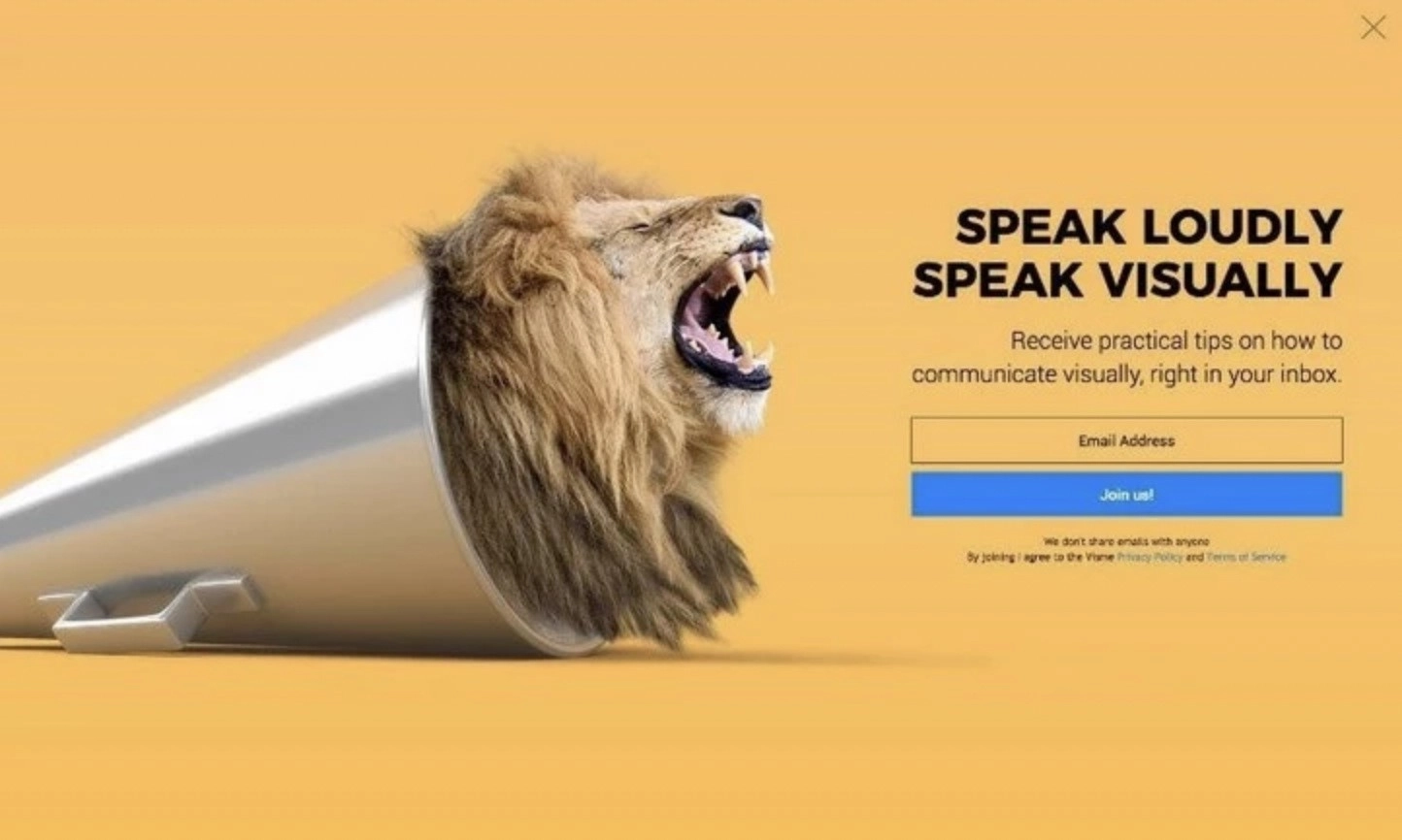 Lead_magnet_popup