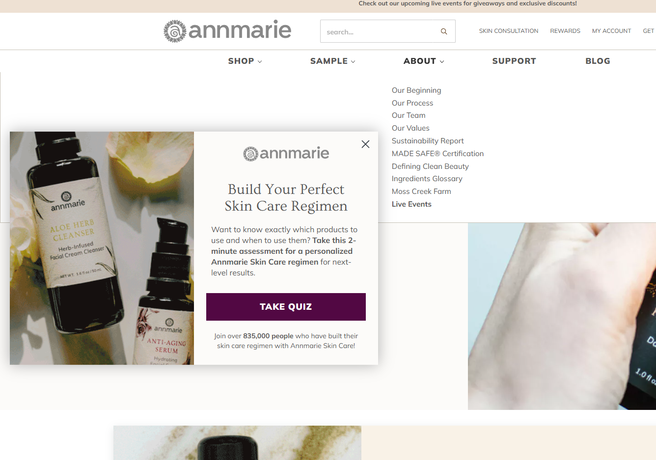 ann-marie-example